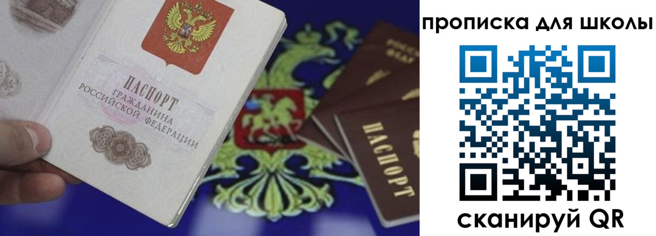 прописка паспорт в Новгородской области